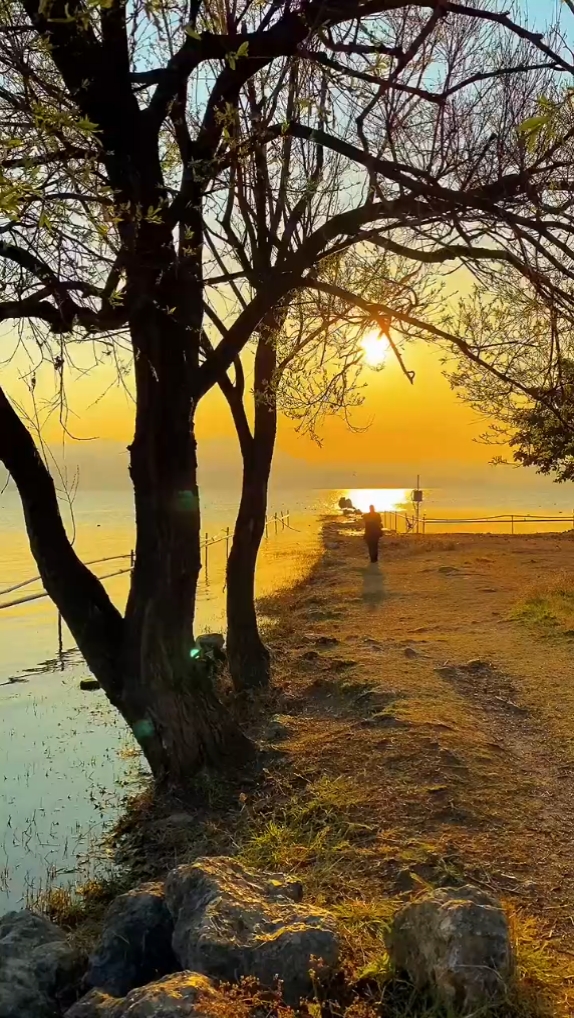 ช้ำรักจากปักใต้