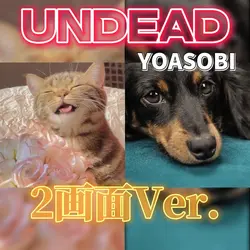 UNDEAD 2画面Ver.✨