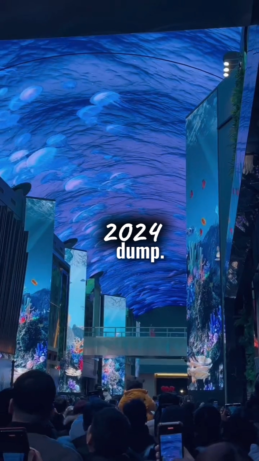 2024 Dump