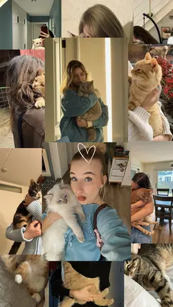 My cat