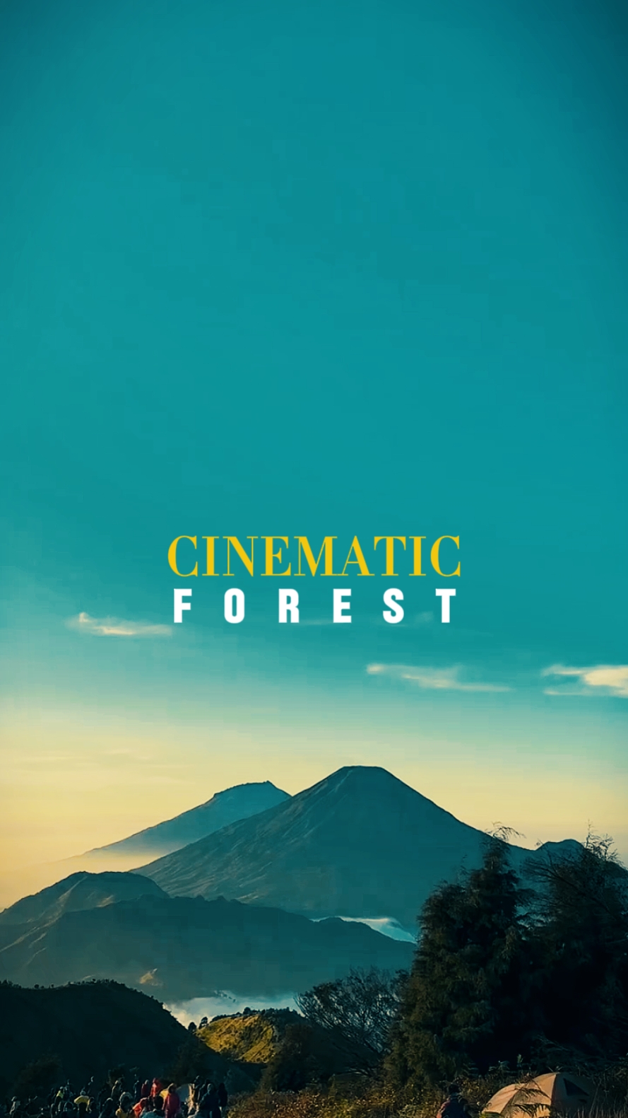 Bosque cinematográfico