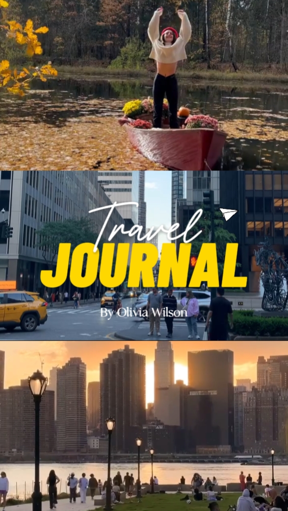 journal de voyage