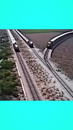 tiktok viral