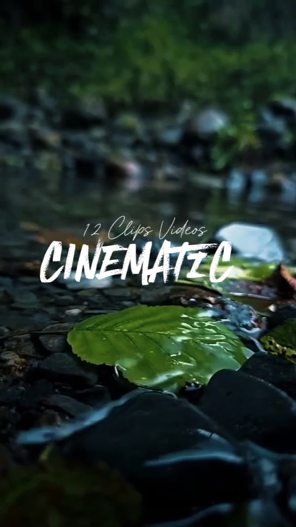 12 Clips cinématiques 