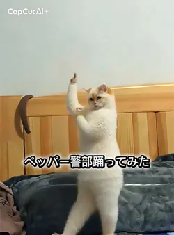 ペッパー警部踊ってみたAi