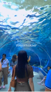 Today’s Dump 2024