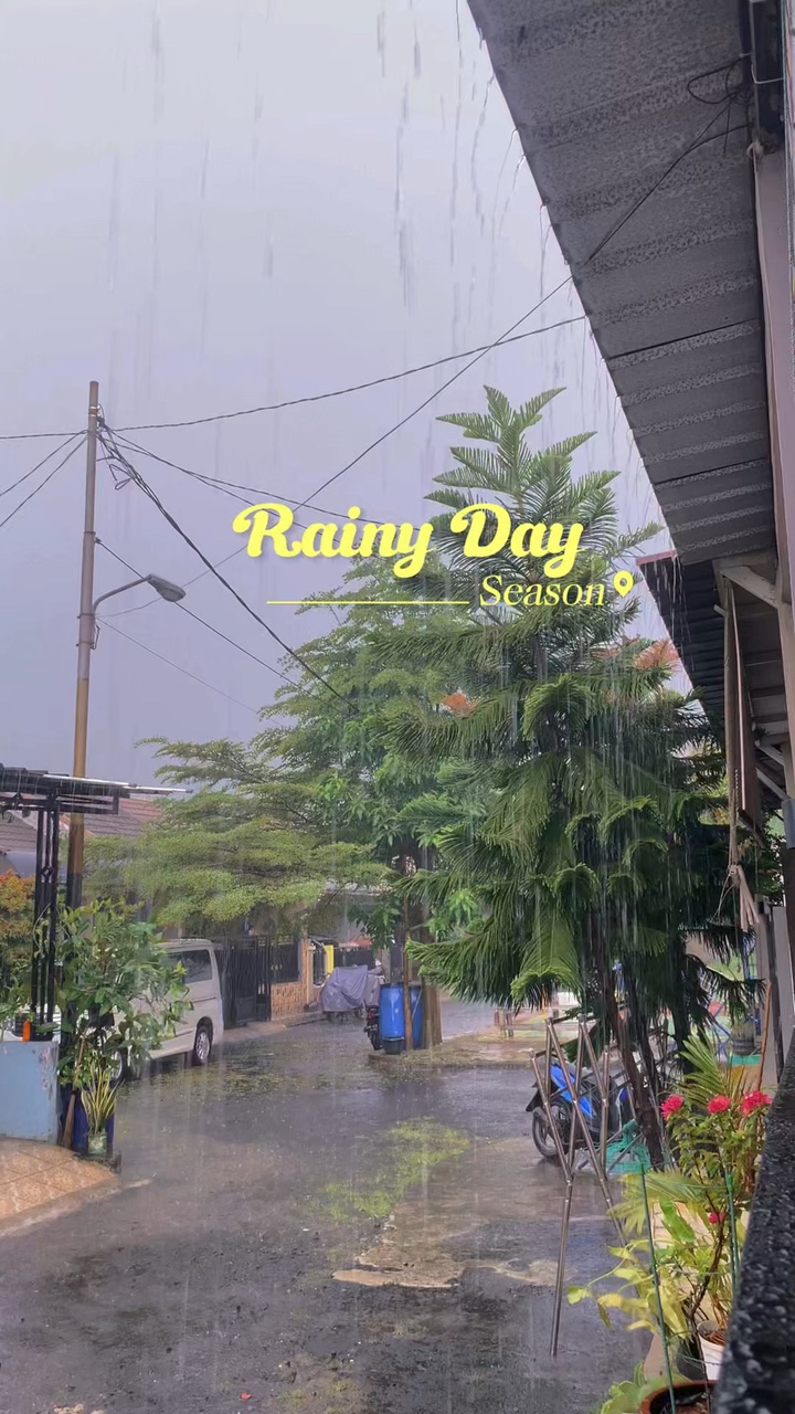 Rainy day