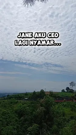 Jane Aku Ceo