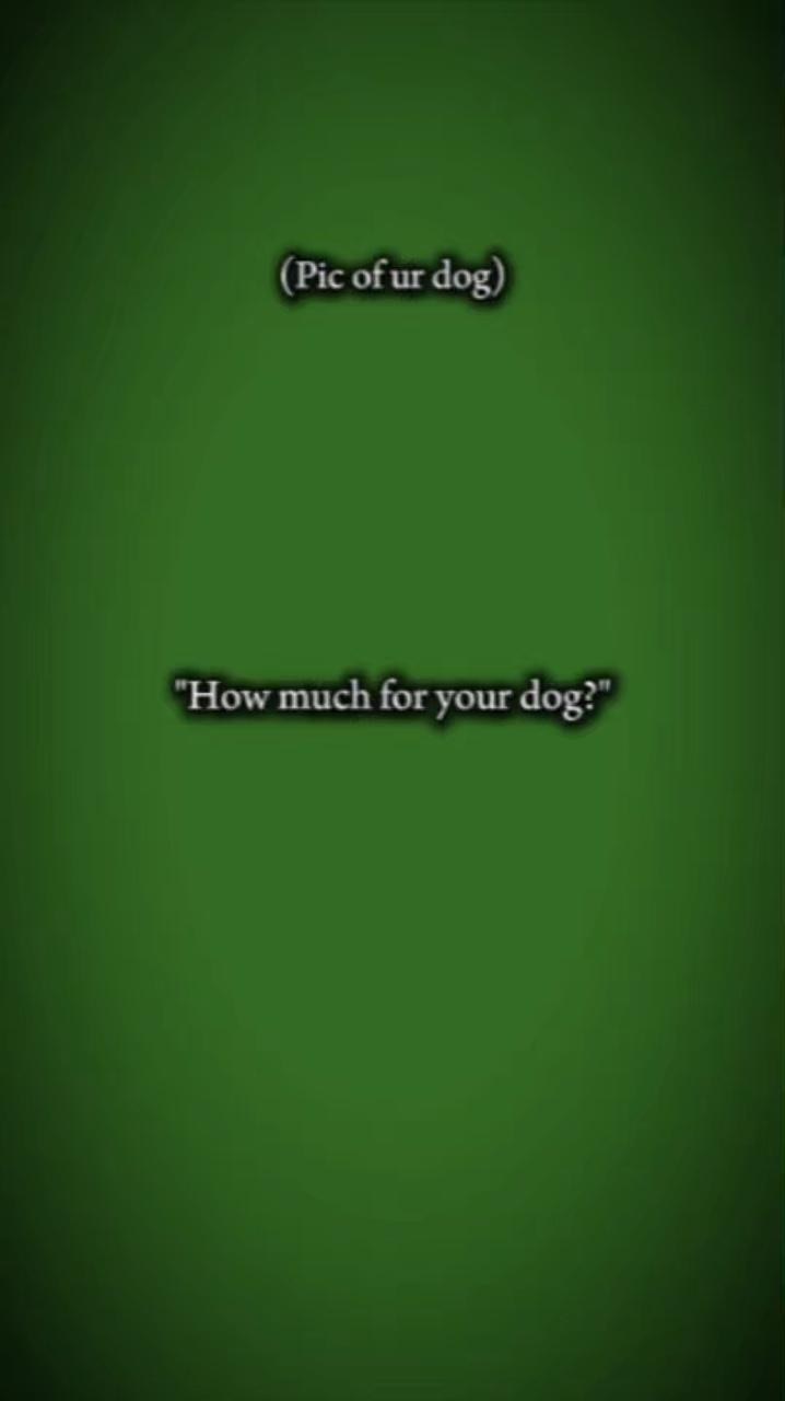 Chien