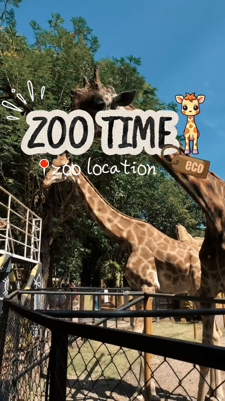 l'heure du zoo 