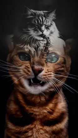 CAT SAX