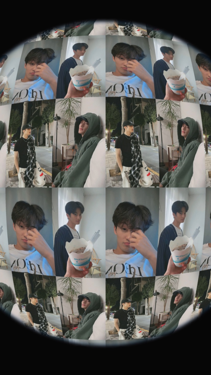 fisheye collage