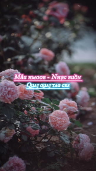 Quaj quaj tag ces