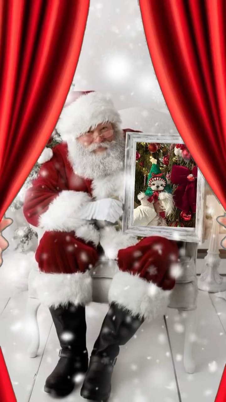 Animal de Noël