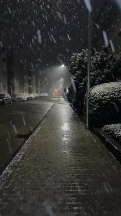 güllerin efendisi 
