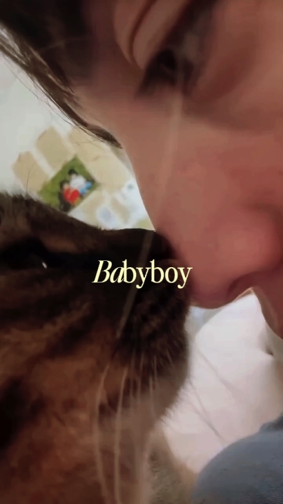 chats