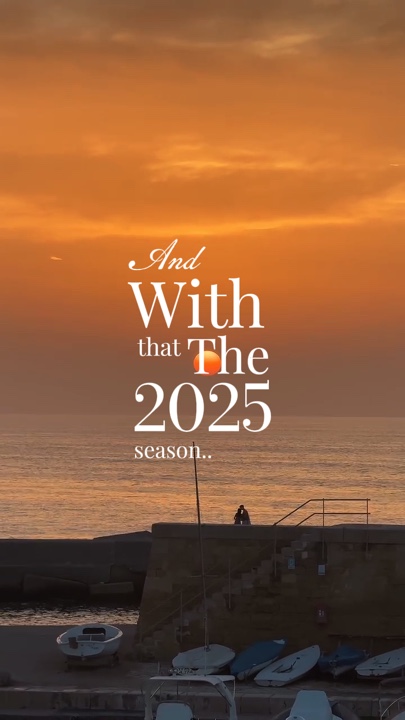 2025 Resumen Adiós
