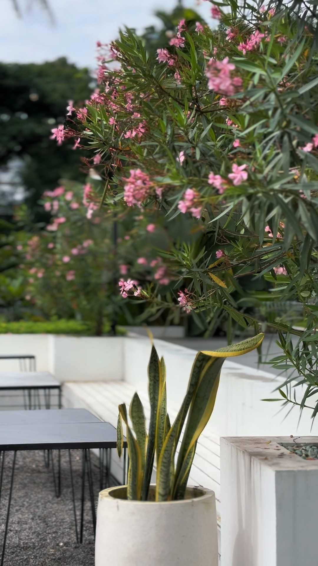 6 VIDÉO KLIP 