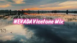 NEVADA Vicetone Mix