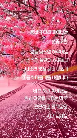 봄빛에 물드는 조용한 순간