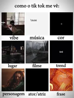 Como o tiktok me vê