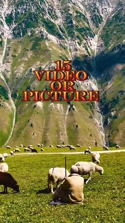 15 video or picture 
