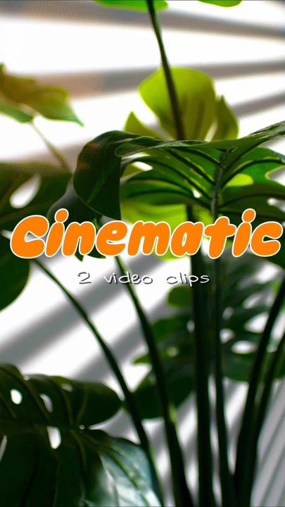 Kino 2 Video