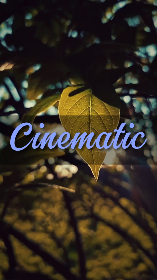 cinematic 5 videos 