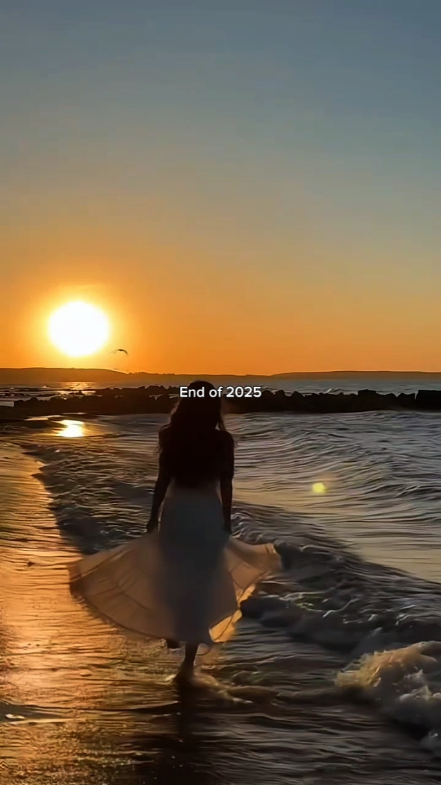 fin 2025