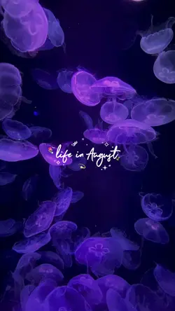 life in august