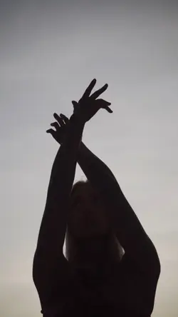 Sunset Silhouette