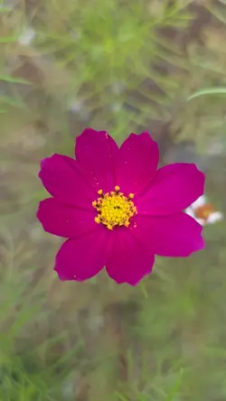 하루명언 전환작업 