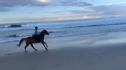 Ride on the beach 