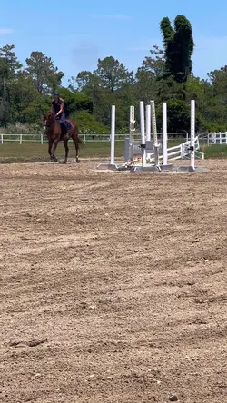 slo mo🌷|‼️⚠️FAKE⚠️‼️