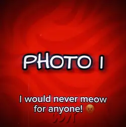 Meow For Me Trend 🐱