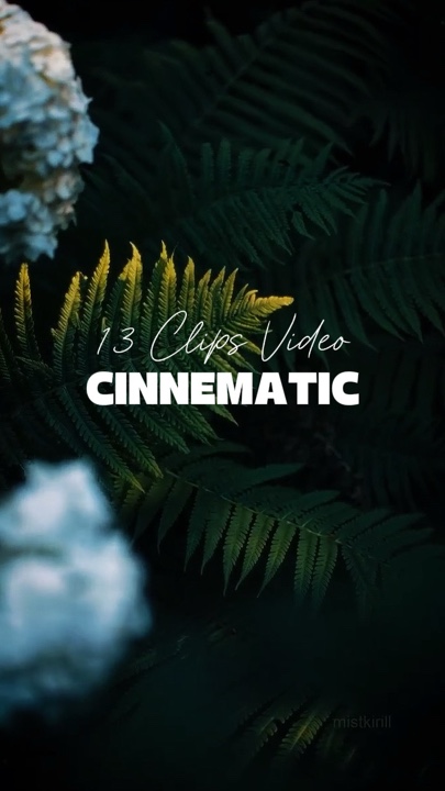 13 Vidéos Cinématiques 