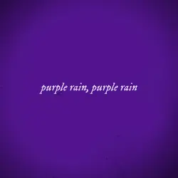 🌺 Purple Rain 🌺