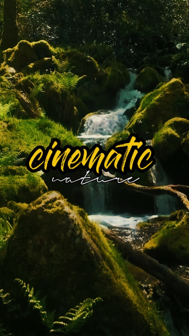 cinematic nature 