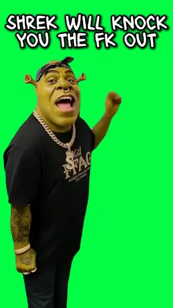 SHREK KNOCK YOU OUT