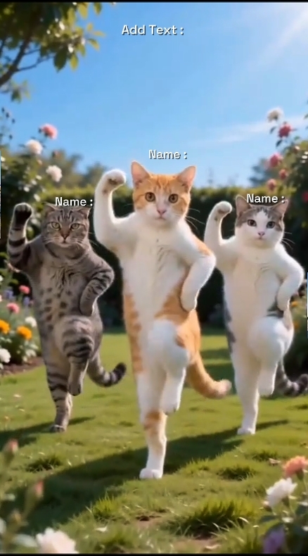 Dance Cat Trend