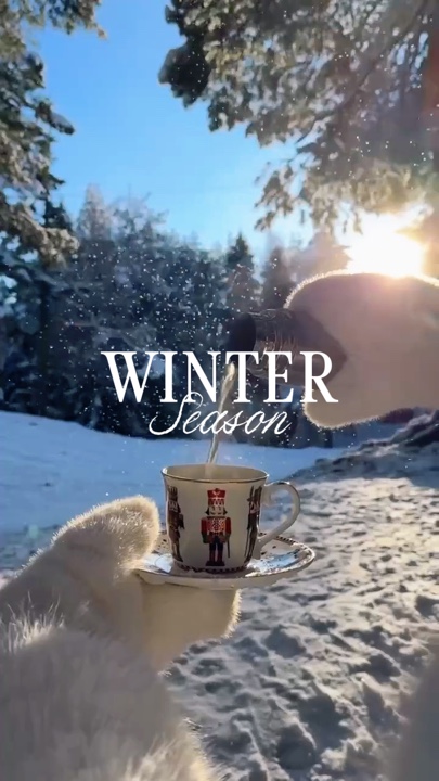 Temporada de invierno