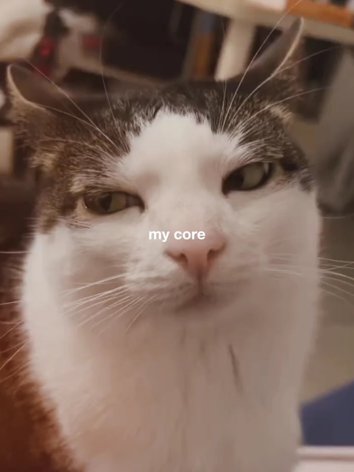 My Core