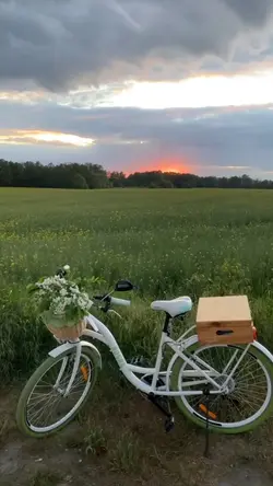 Sassy girl Chun hyan