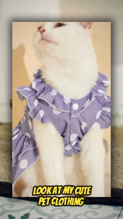Trabalhos Clothing Pet Library Open Task: 