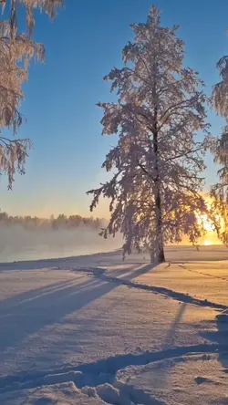 snowfall