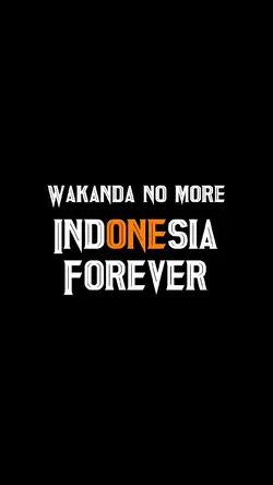 Wakanda No More