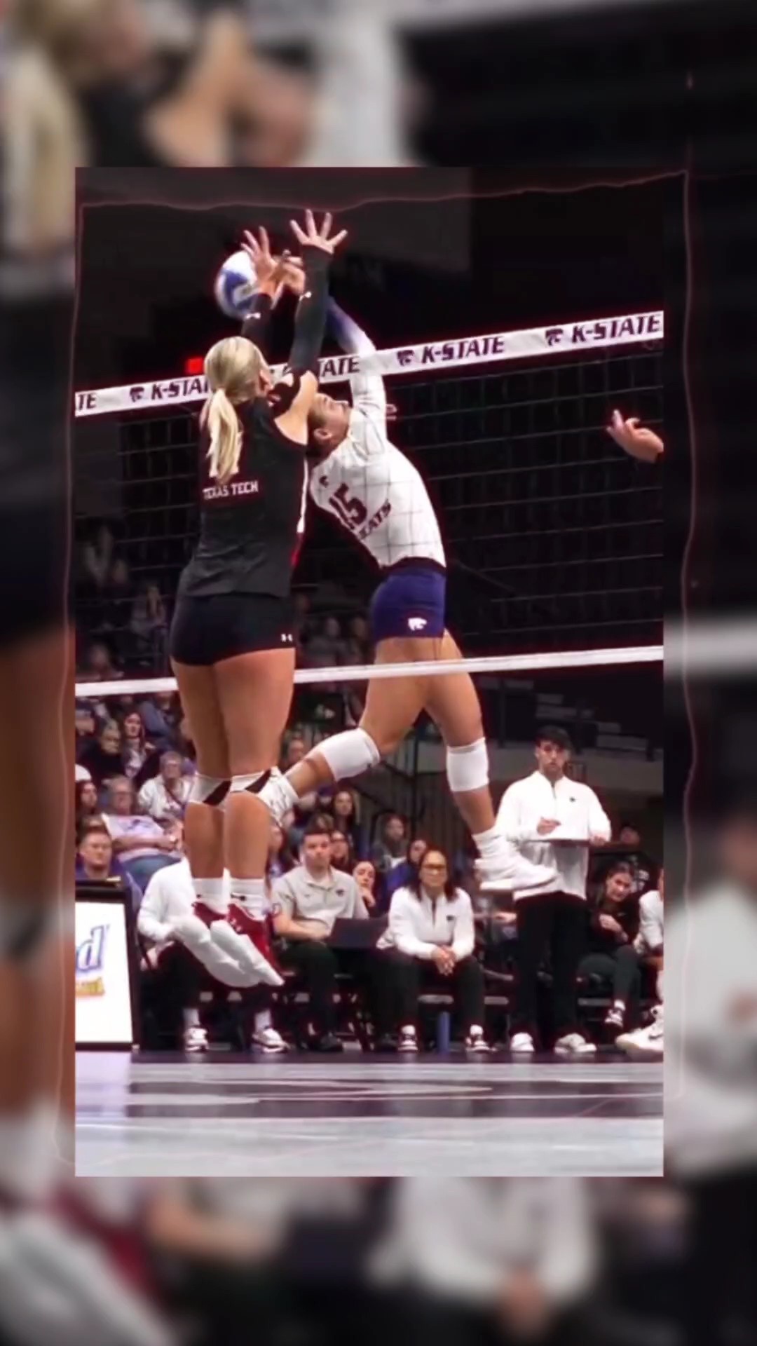 Felicidad de voleibol