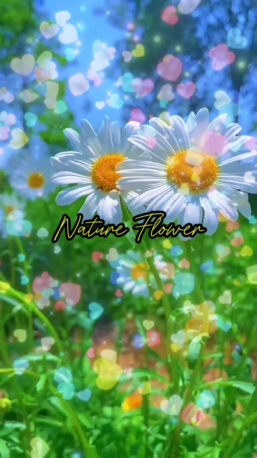 Flor da Natureza