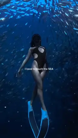 I need the SEA