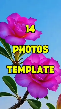 14 Photo Template 